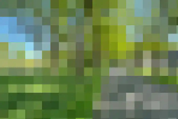 De Etgaarde 2 Oosterhesselen thumbnail 24
