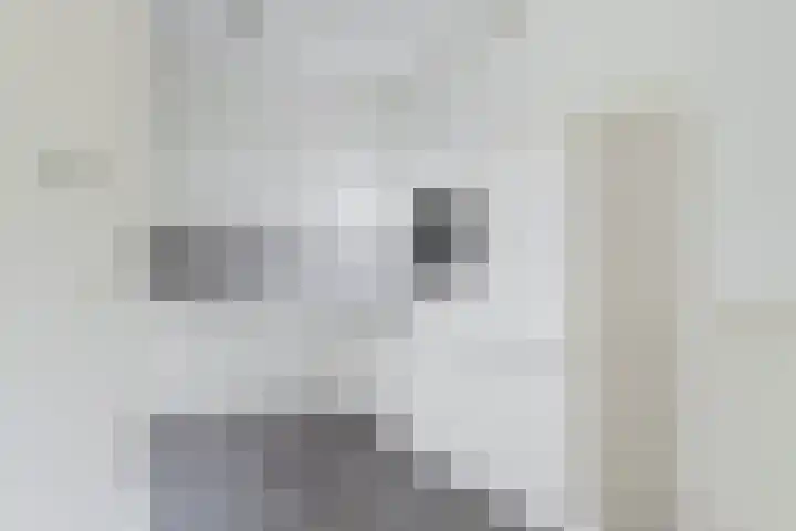 De Etstoel 9 Sleen thumbnail 14