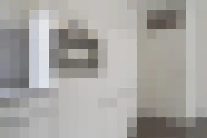 De Etstoel 9 Sleen thumbnail 18