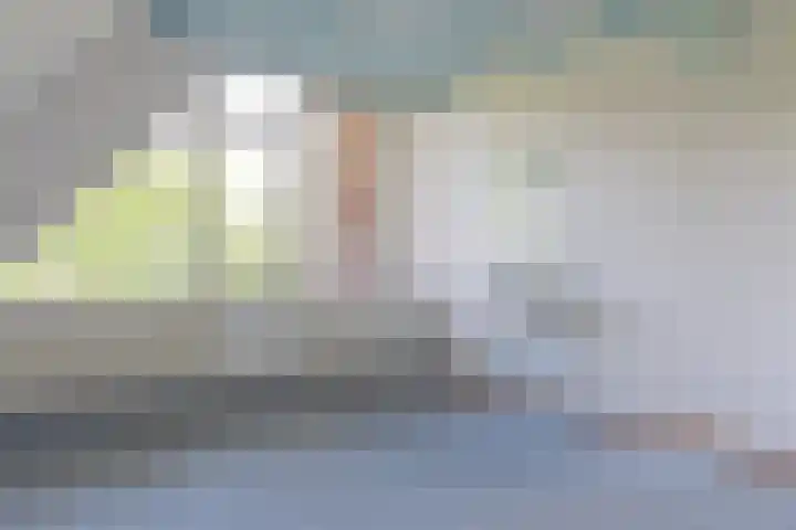 De Etstoel 9 Sleen thumbnail 32