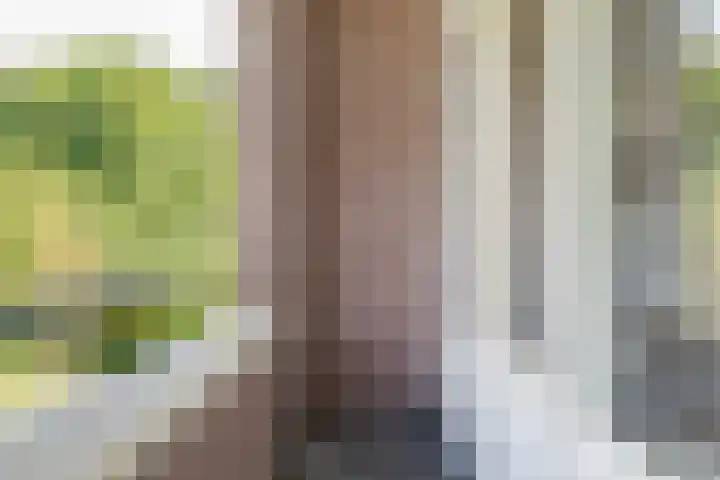 De Etstoel 9 Sleen thumbnail 35