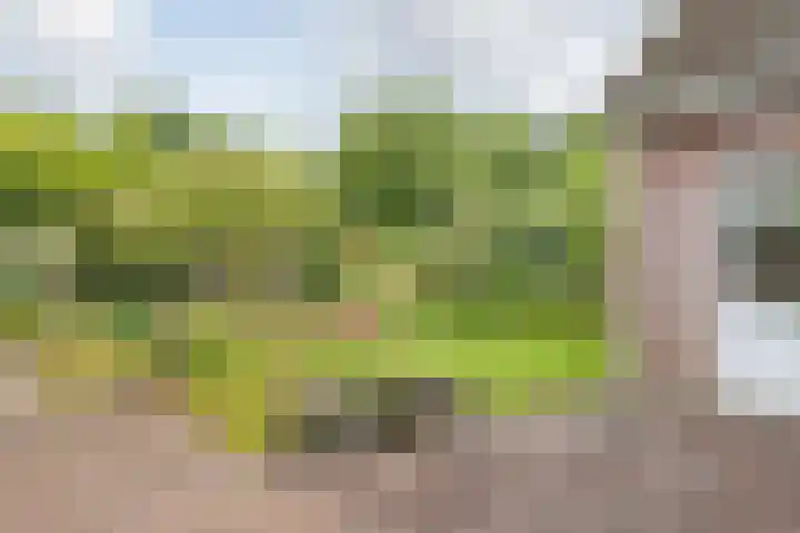 De Etstoel 9 Sleen thumbnail 52