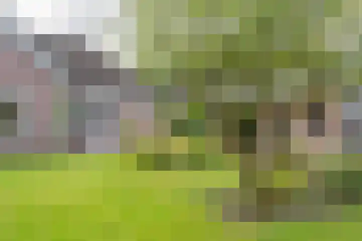 De Etstoel 9 Sleen thumbnail 54