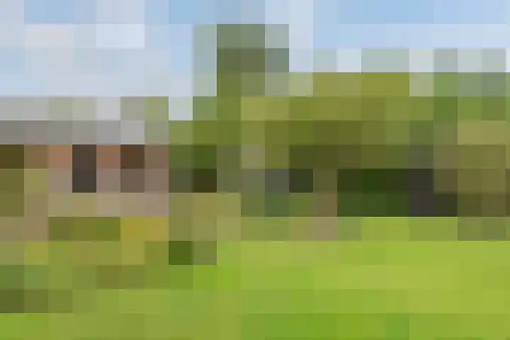 De Etstoel 9 Sleen thumbnail 55