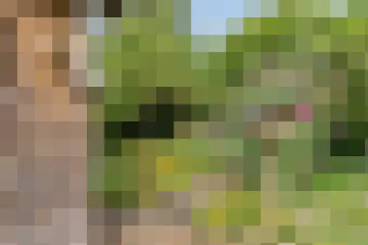 De Etstoel 9 Sleen thumbnail 56