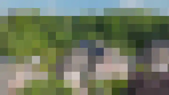 De Etstoel 9 Sleen thumbnail 68