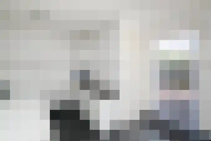 De Eugte 11 Staphorst thumbnail 12