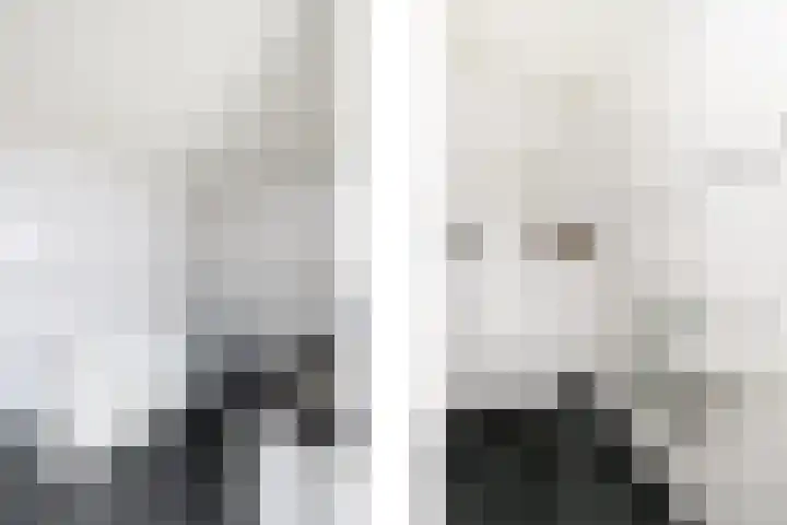 De Eugte 11 Staphorst thumbnail 13