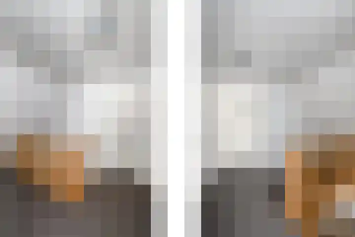 De Eugte 11 Staphorst thumbnail 15