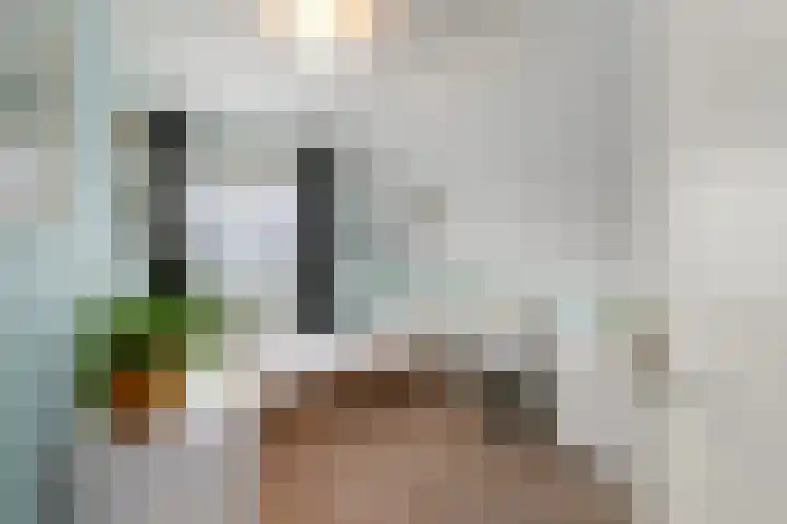 De Eugte 11 Staphorst thumbnail 17