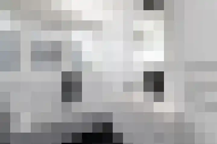 De Eugte 11 Staphorst thumbnail 20
