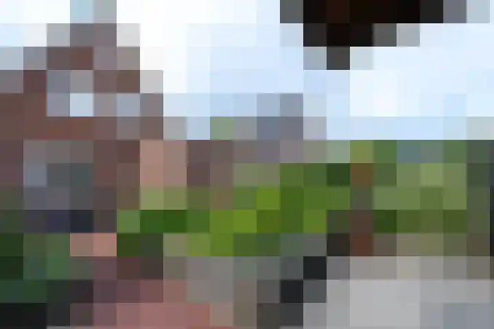 De Eugte 11 Staphorst thumbnail 23