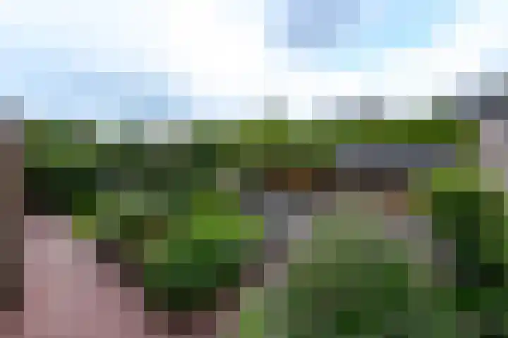 De Eugte 11 Staphorst thumbnail 24