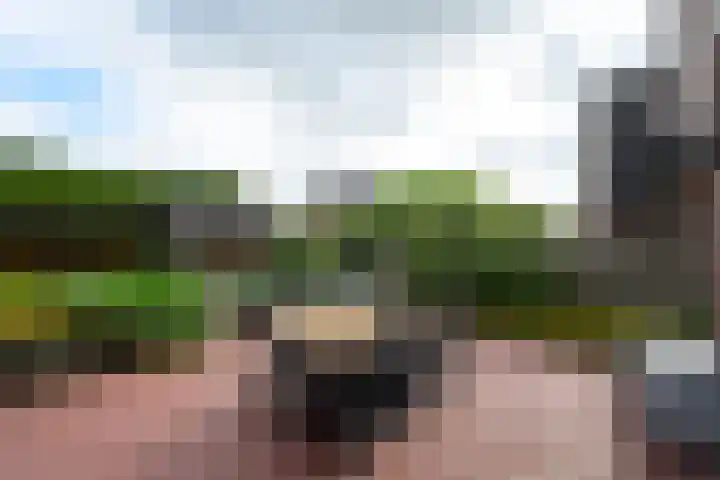 De Eugte 11 Staphorst thumbnail 25