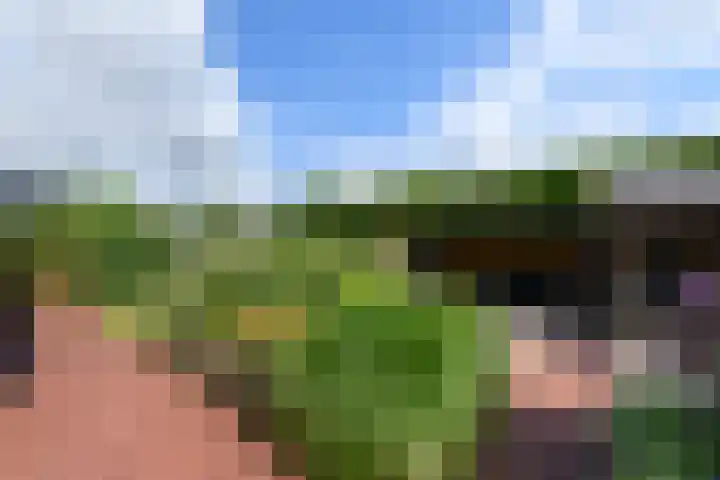 De Eugte 11 Staphorst thumbnail 26
