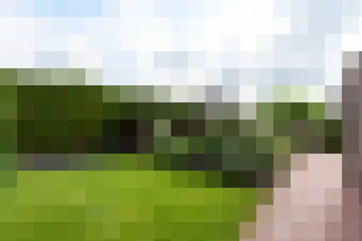 De Eugte 11 Staphorst thumbnail 27