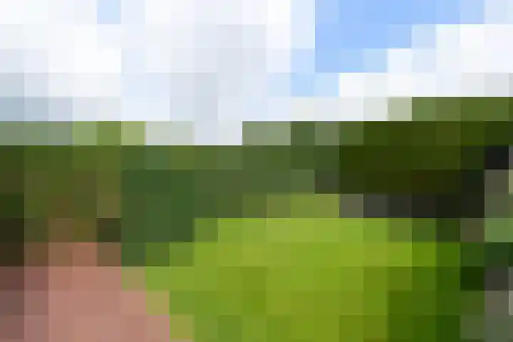 De Eugte 11 Staphorst thumbnail 28