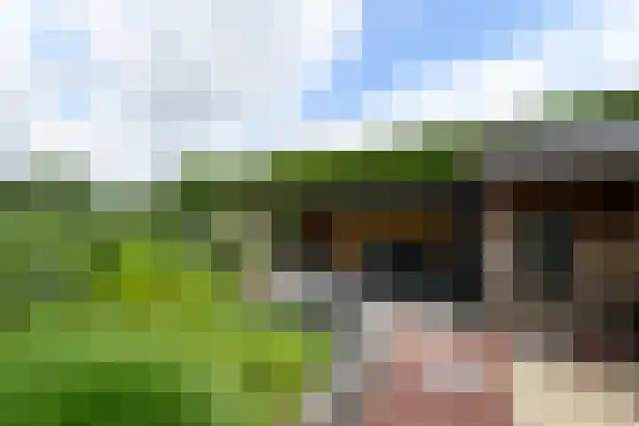 De Eugte 11 Staphorst thumbnail 29