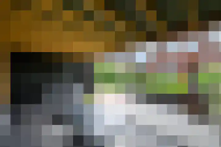 De Eugte 11 Staphorst thumbnail 30