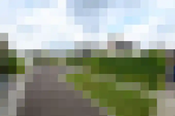 De Eugte 11 Staphorst thumbnail 31