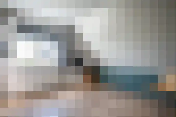 De Eugte 13 Staphorst thumbnail 15