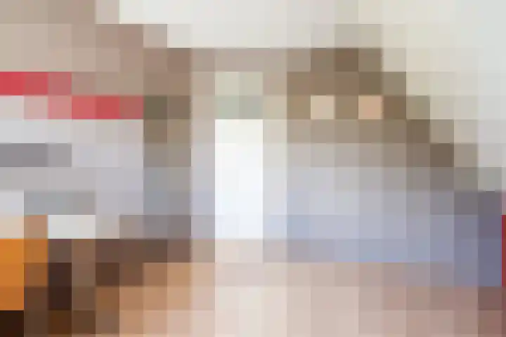 De Eugte 13 Staphorst thumbnail 18