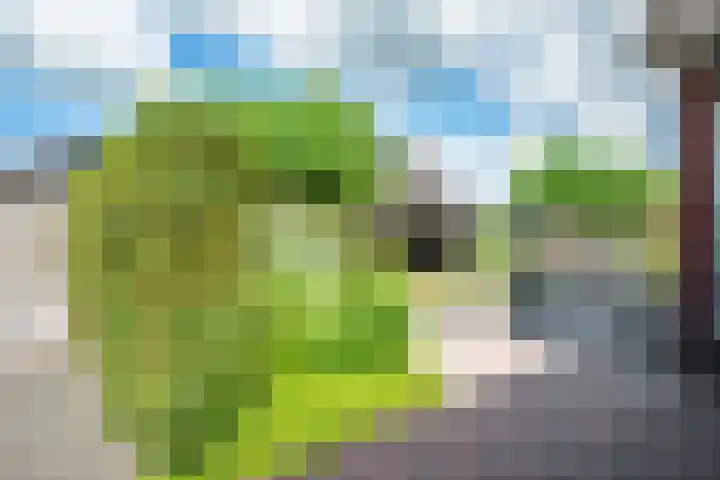 De Eugte 13 Staphorst thumbnail 22