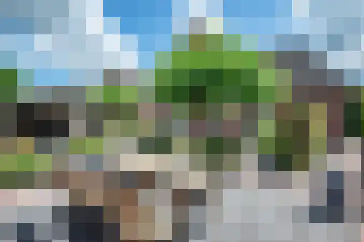 De Eugte 13 Staphorst thumbnail 23