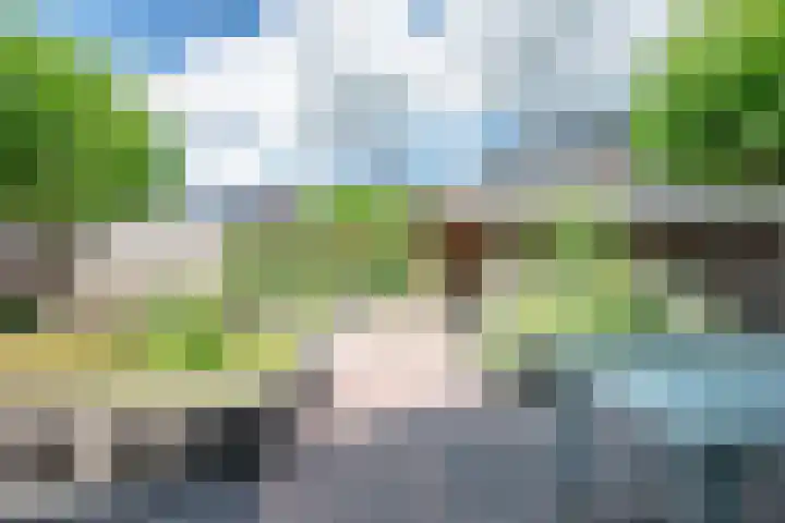 De Eugte 13 Staphorst thumbnail 24