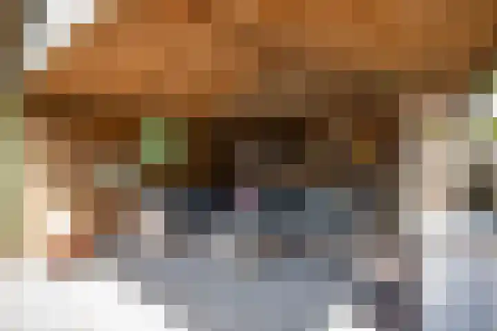De Eugte 13 Staphorst thumbnail 25