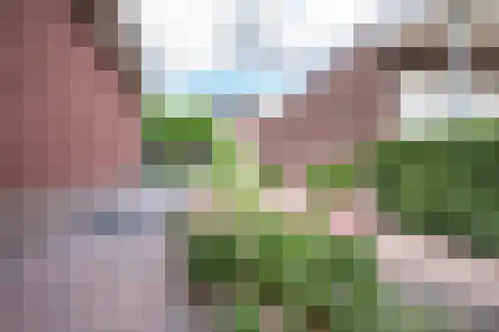De Eugte 13 Staphorst thumbnail 26