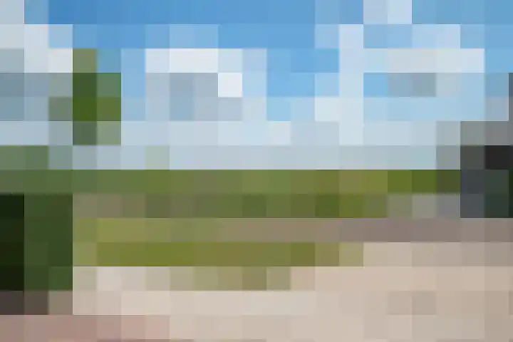 De Eugte 13 Staphorst thumbnail 30