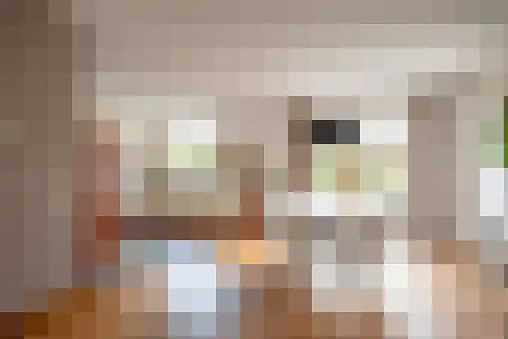 De Eugte 13 Staphorst thumbnail 5