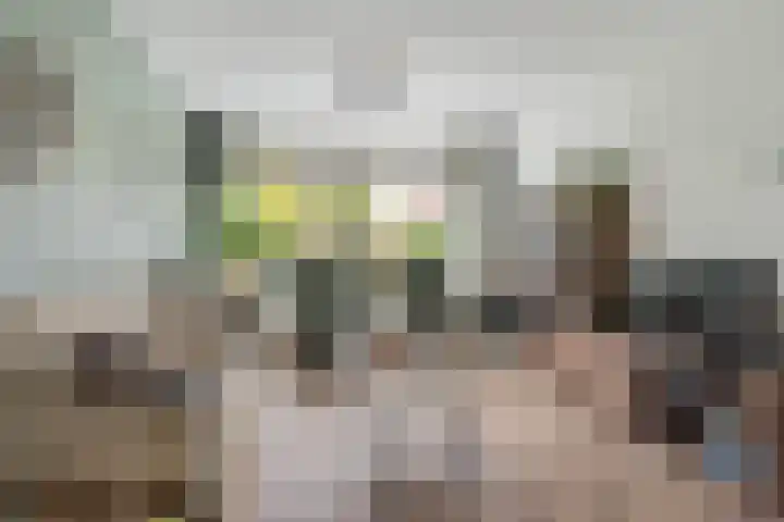De Excelsior 113 Drachten thumbnail 10