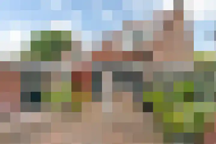 De Excelsior 113 Drachten thumbnail 4