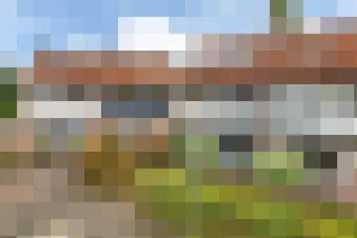 De Excelsior 113 Drachten thumbnail 41