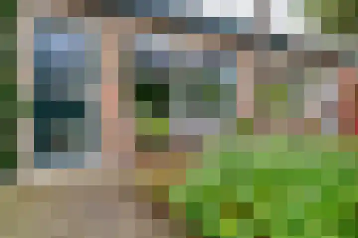 De Excelsior 113 Drachten thumbnail 7