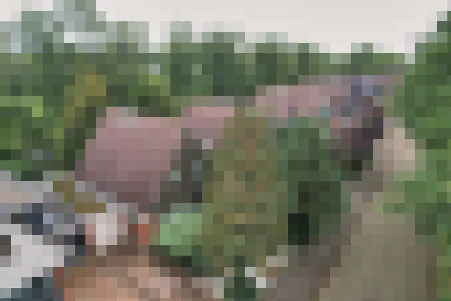 De Excelsior 30 Drachten thumbnail 33