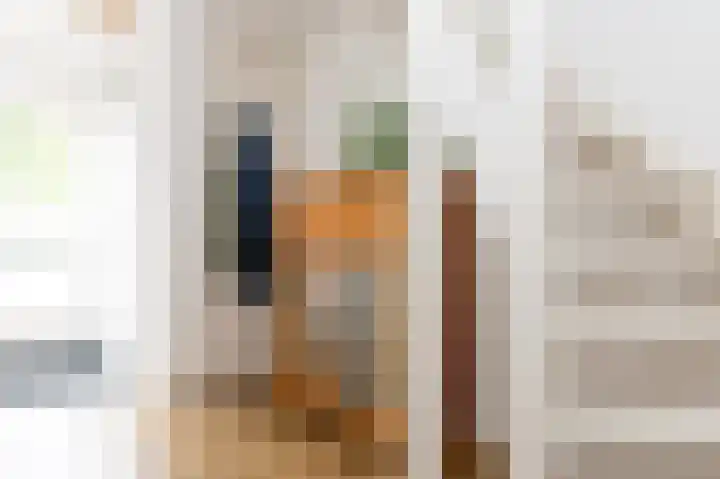 De Excelsior 39 Drachten thumbnail 24