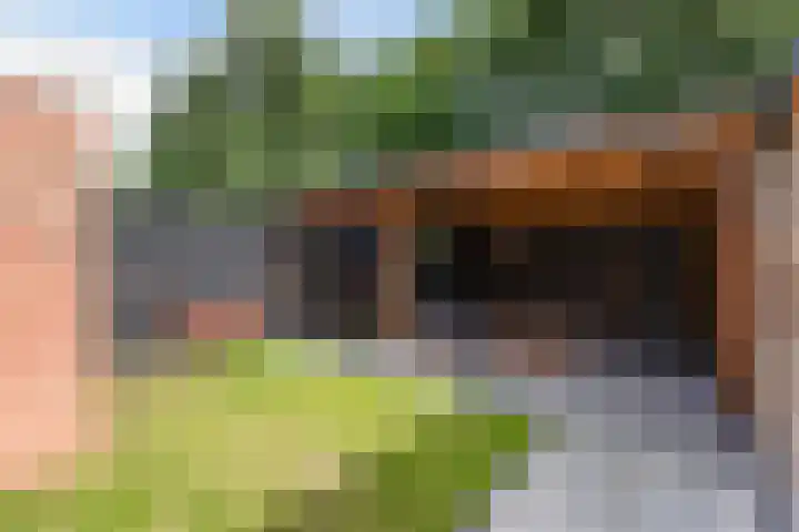 De Excelsior 49 Drachten thumbnail 5
