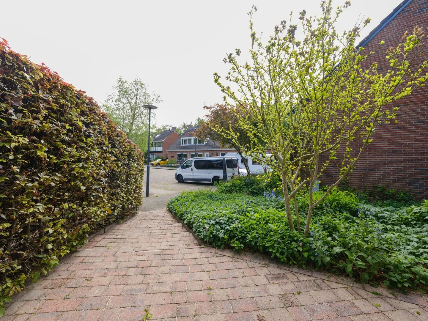 De Excelsior 63 Drachten thumbnail 5