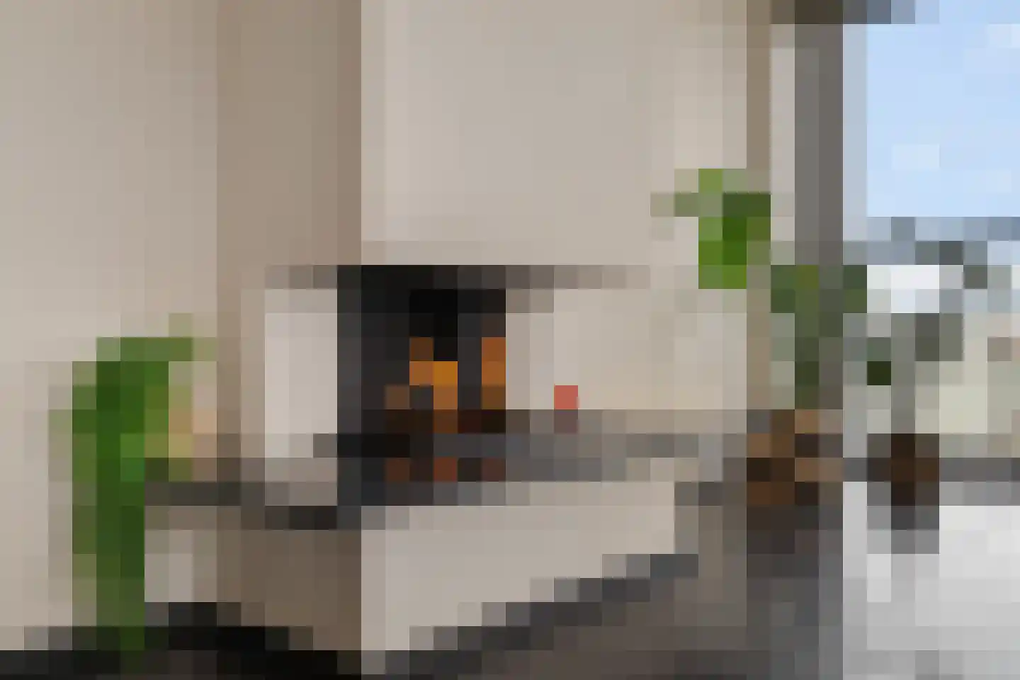 De Faam 22 Zaandam thumbnail 19