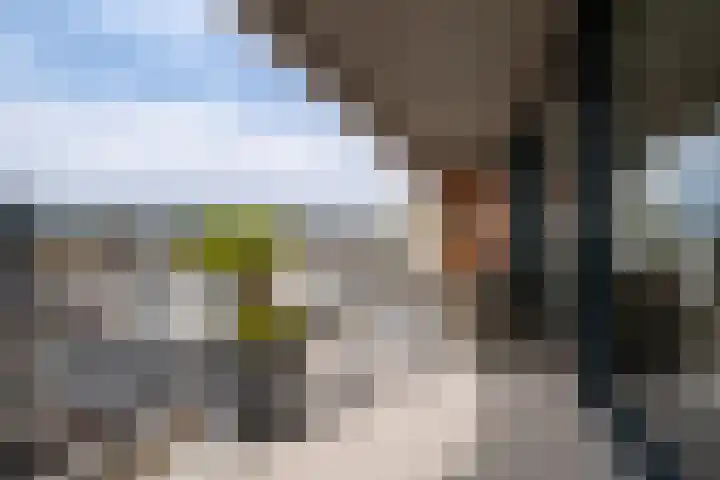 De Faam 22 Zaandam thumbnail 34