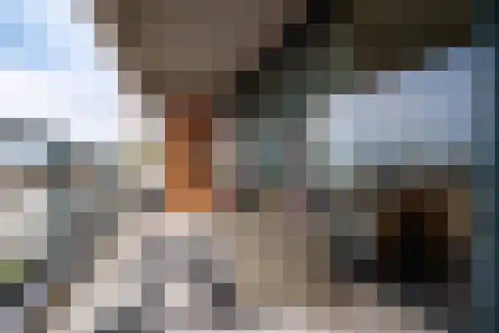 De Faam 22 Zaandam thumbnail 35