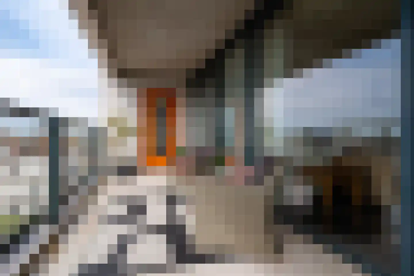 De Faam 22 Zaandam thumbnail 35