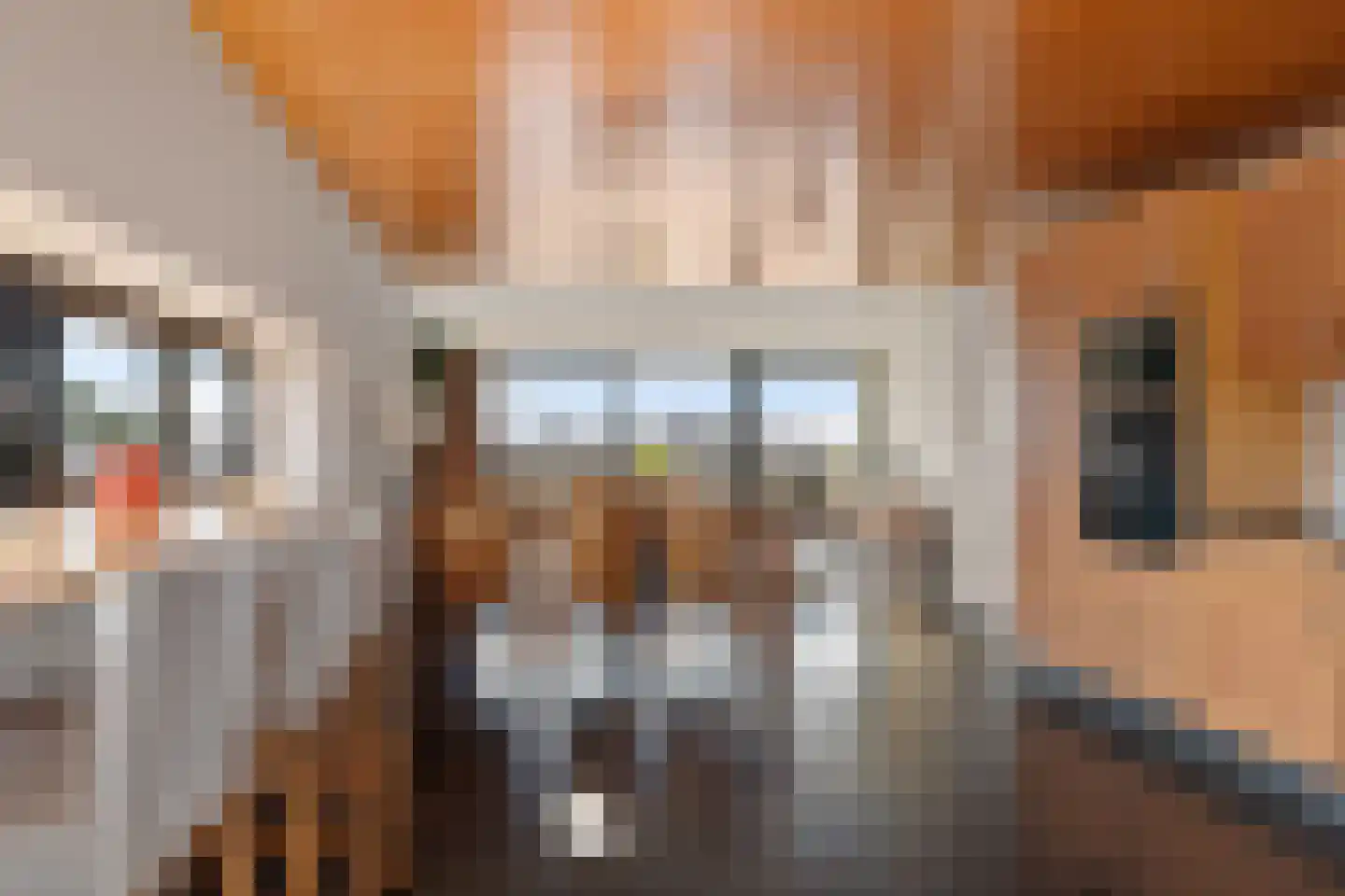 De Faam 22 Zaandam thumbnail 4