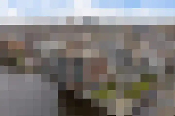 De Faam 22 Zaandam thumbnail 49