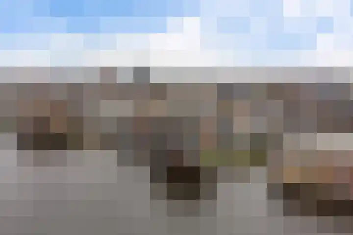 De Faam 22 Zaandam thumbnail 52