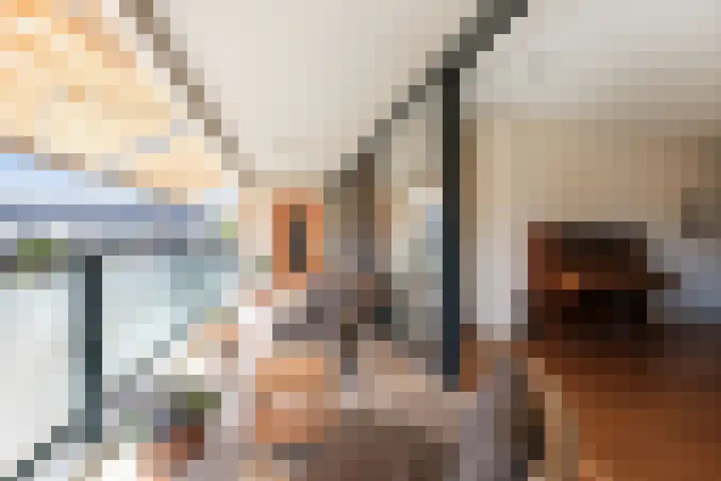 De Faam 8 Zaandam thumbnail 34