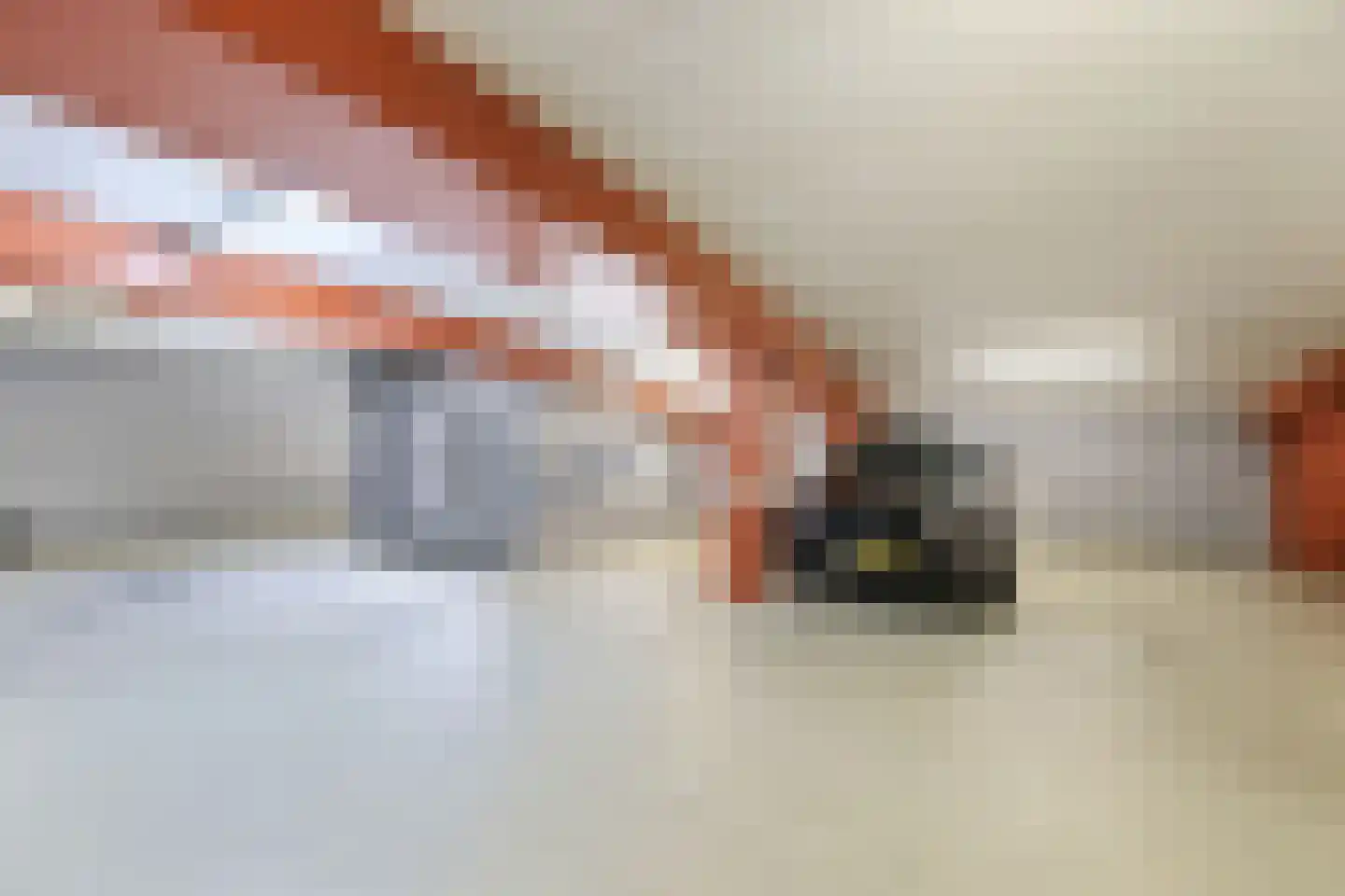 De Faam 8 Zaandam thumbnail 45